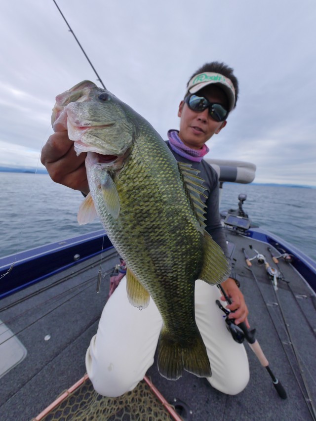 truth hiramura ブログ写真 2016/10/02