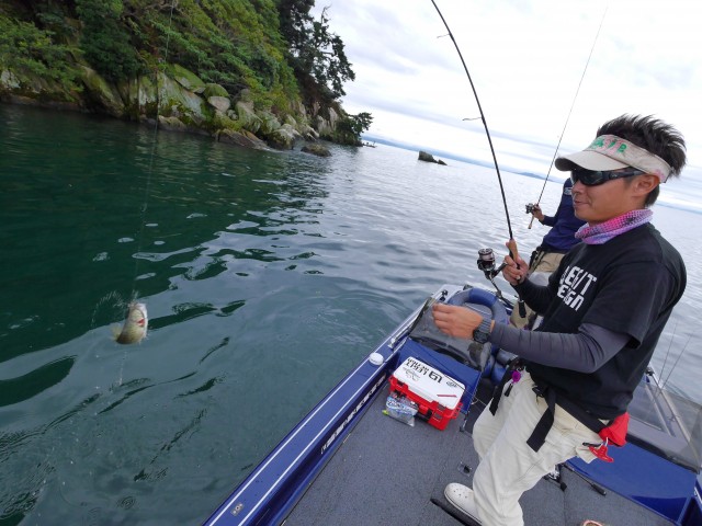 truth hiramura ブログ写真 2016/10/02