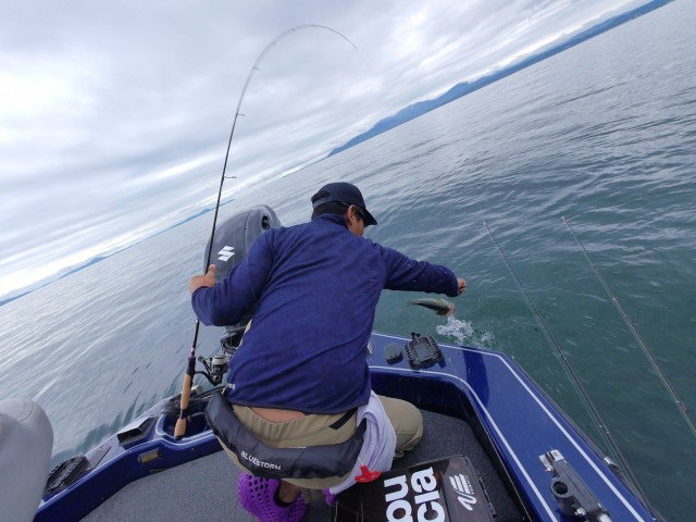 truth hiramura ブログ写真 2016/10/02