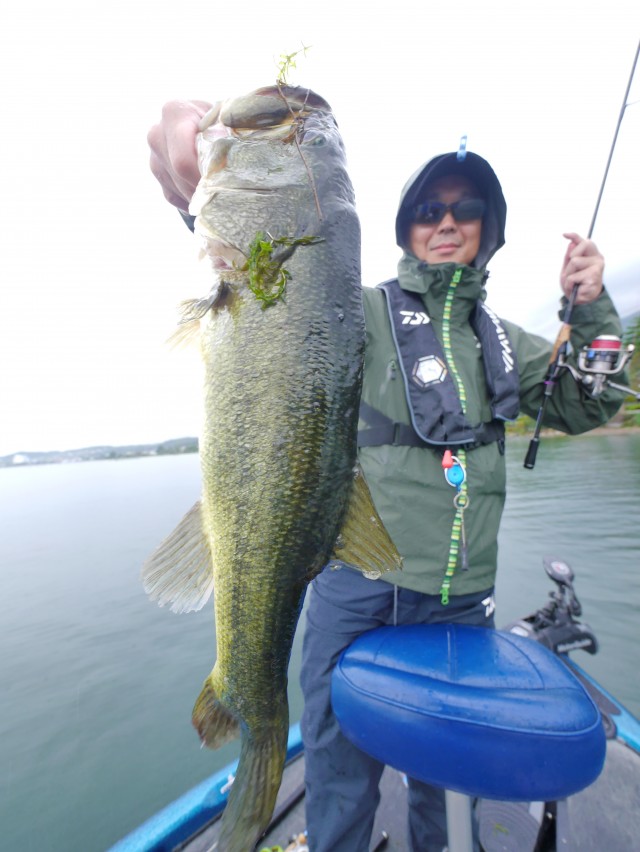 truth hiramura ブログ写真 2016/10/04