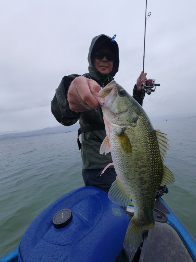 truth hiramura ブログ写真 2016/10/04