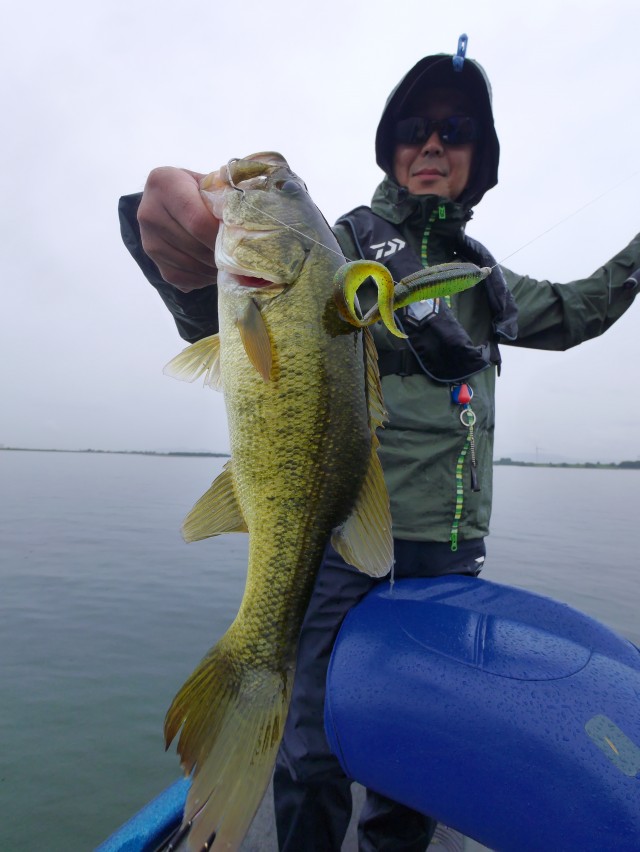 truth hiramura ブログ写真 2016/10/04