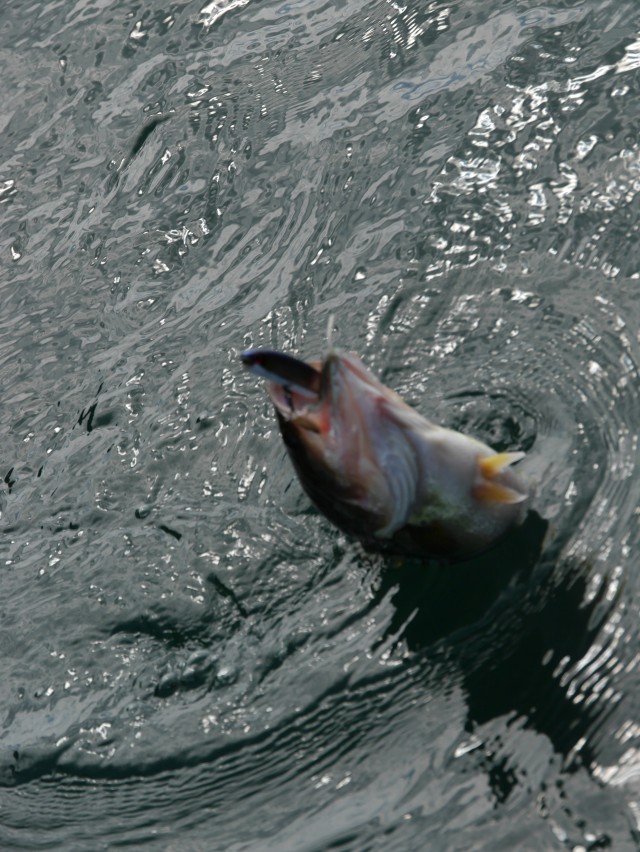 truth hiramura ブログ写真 2016/10/07