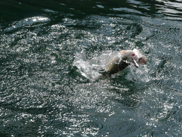 truth hiramura ブログ写真 2016/10/07