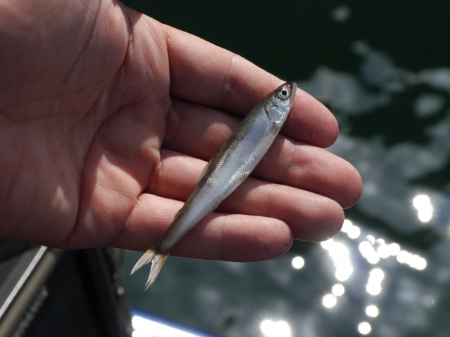 truth hiramura ブログ写真 2016/10/07