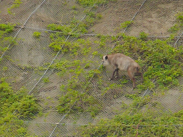 truth hiramura ブログ写真 2016/10/07