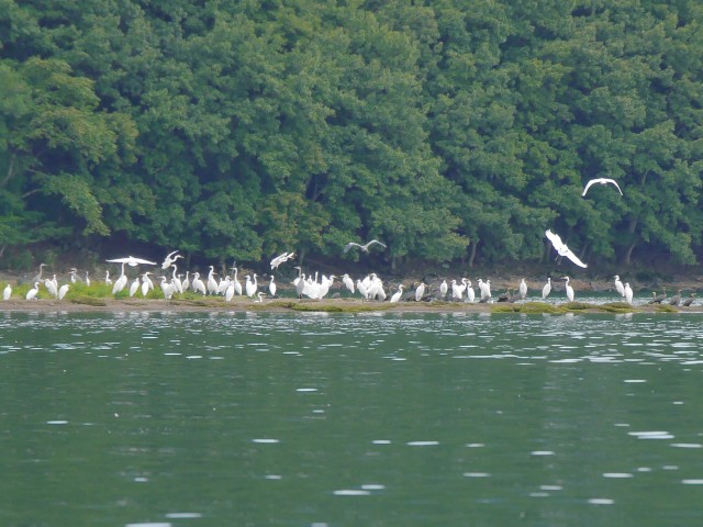 truth hiramura ブログ写真 2016/10/07