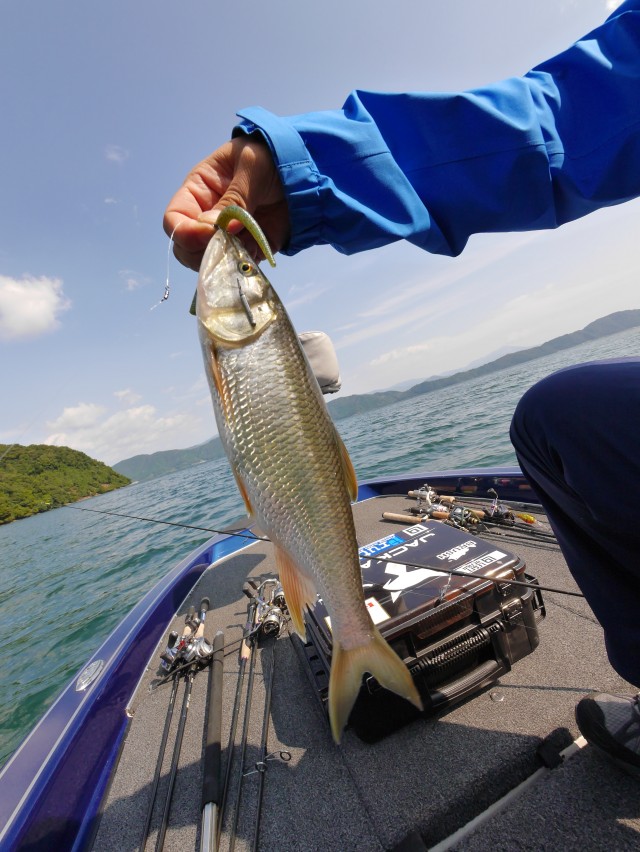 truth hiramura ブログ写真 2016/10/12