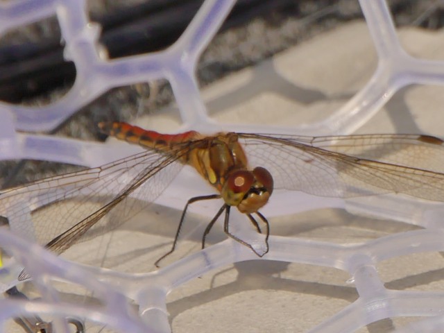 truth hiramura ブログ写真 2016/10/12