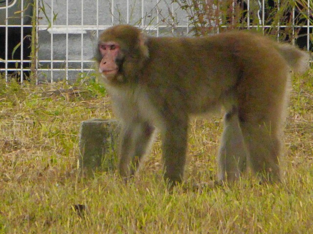 truth hiramura ブログ写真 2016/10/12