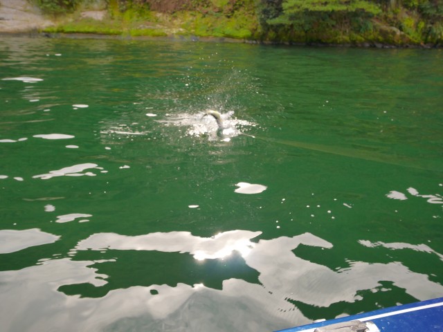 truth hiramura ブログ写真 2016/10/12