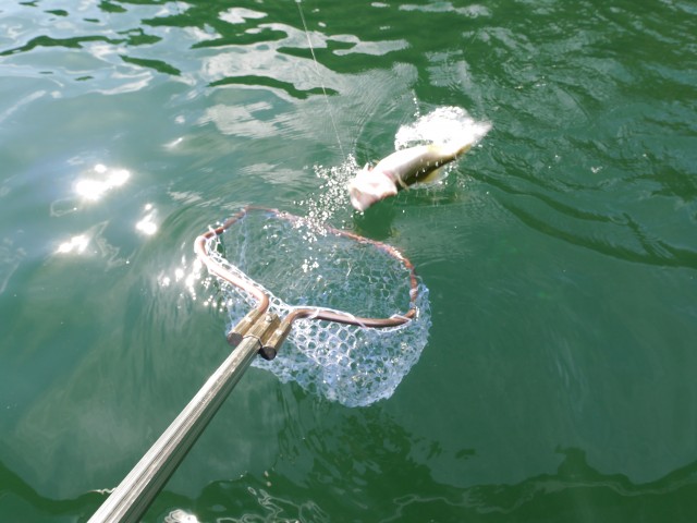 truth hiramura ブログ写真 2016/10/14