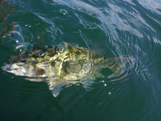 truth hiramura ブログ写真 2016/10/14