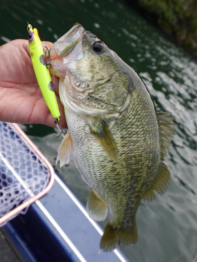 truth hiramura ブログ写真 2016/10/14