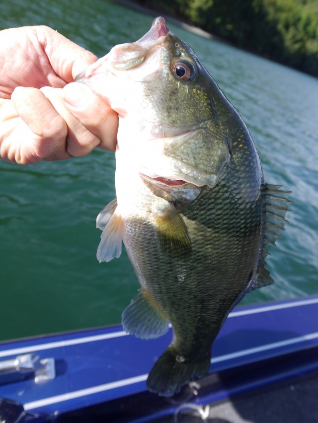 truth hiramura ブログ写真 2016/10/14