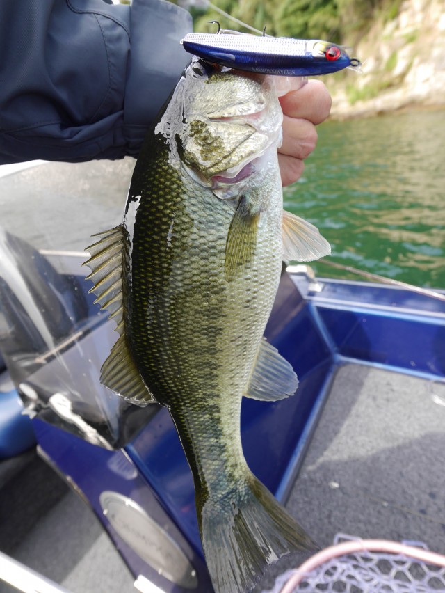 truth hiramura ブログ写真 2016/10/14