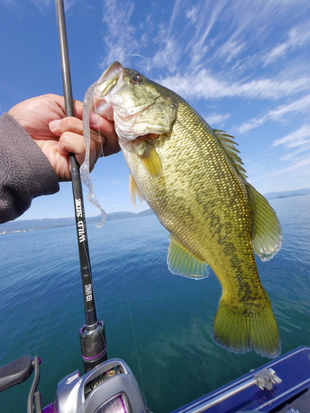 truth hiramura ブログ写真 2016/10/15