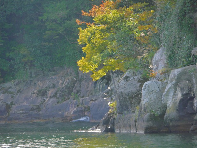 truth hiramura ブログ写真 2016/10/15