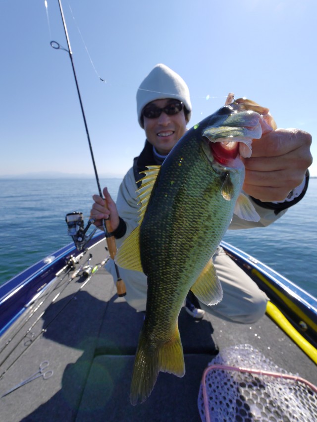 truth hiramura ブログ写真 2016/10/15