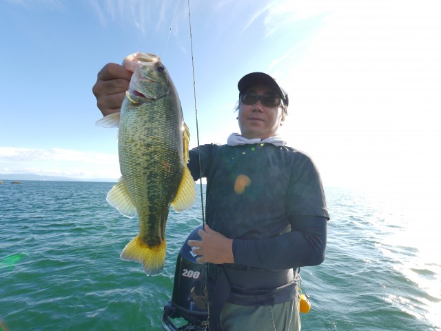 truth hiramura ブログ写真 2016/10/19