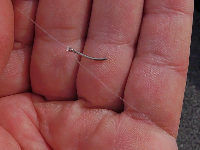 truth hiramura ブログ写真 2016/10/22