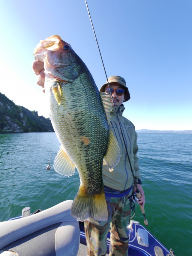 truth hiramura ブログ写真 2016/11/02