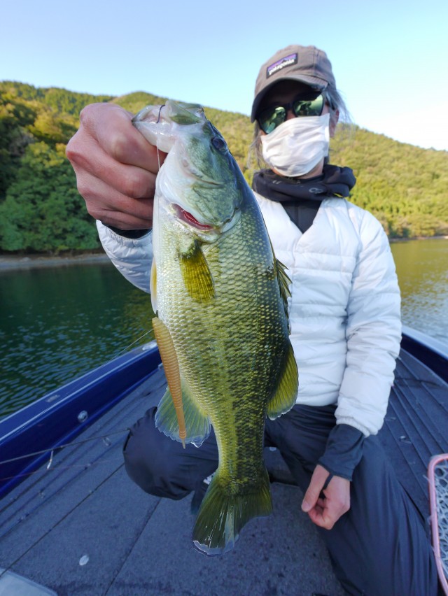 truth hiramura ブログ写真 2016/11/02