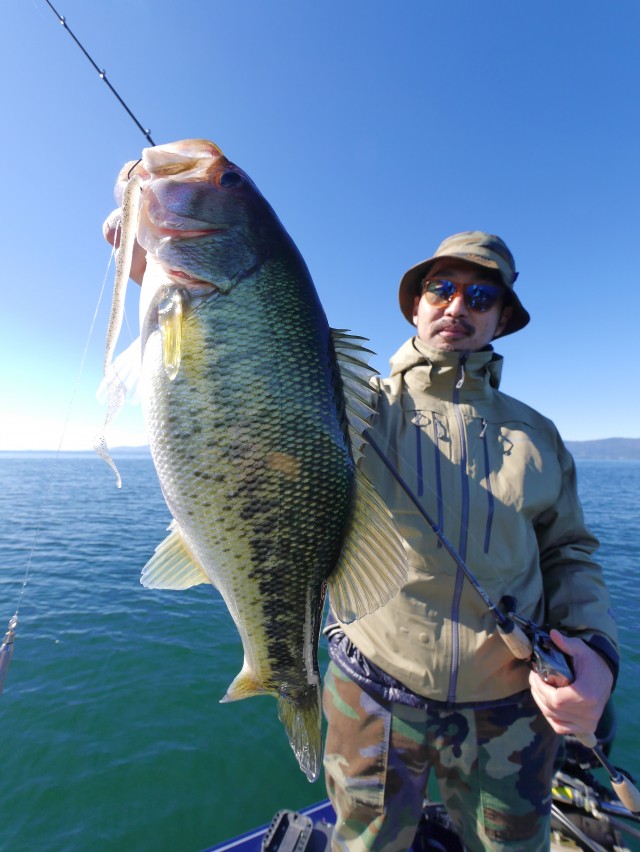 truth hiramura ブログ写真 2016/11/02