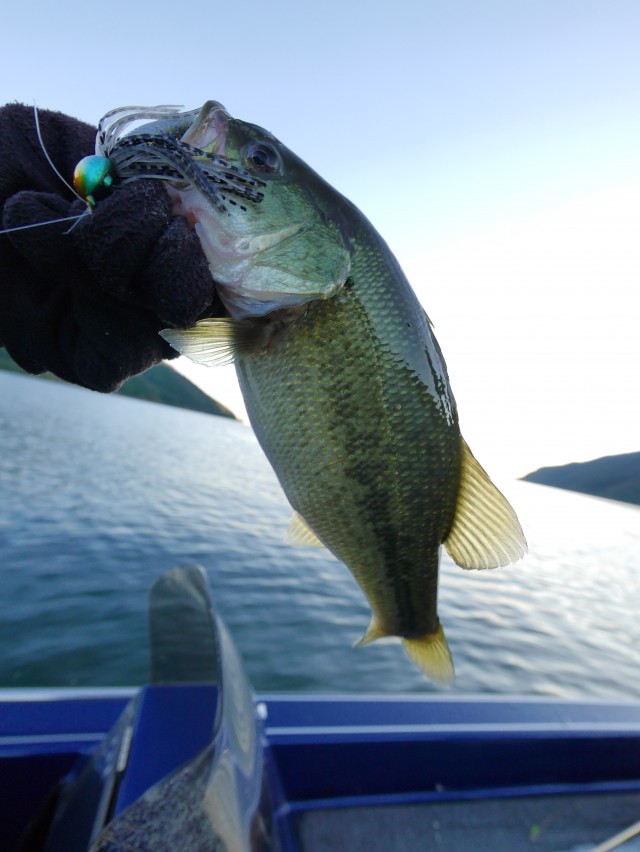 truth hiramura ブログ写真 2016/11/02