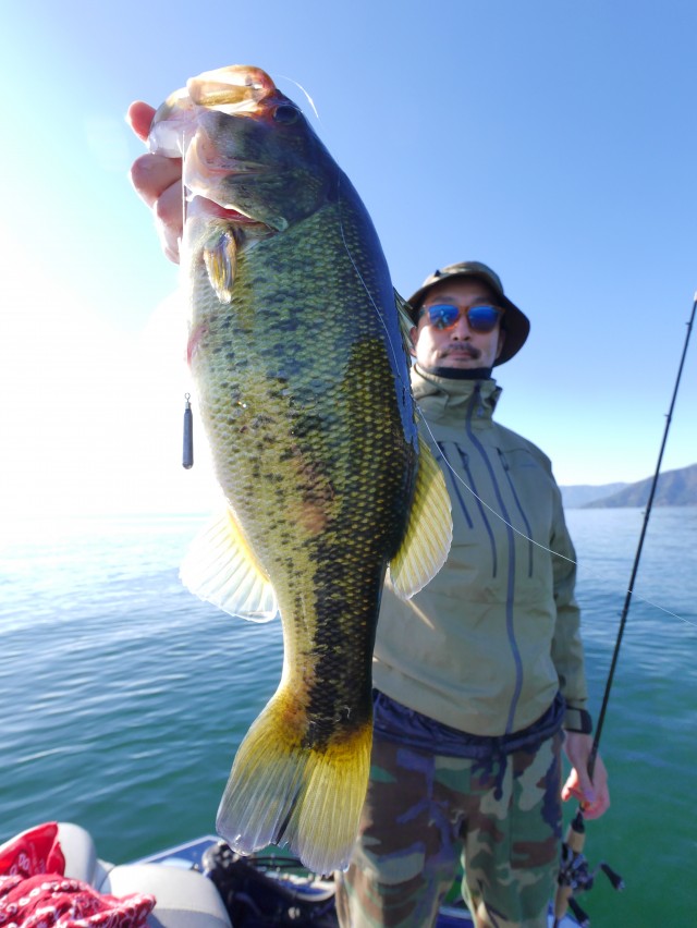 truth hiramura ブログ写真 2016/11/02