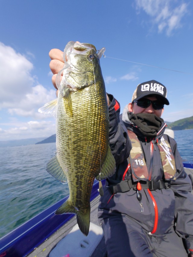 truth hiramura ブログ写真 2016/11/05