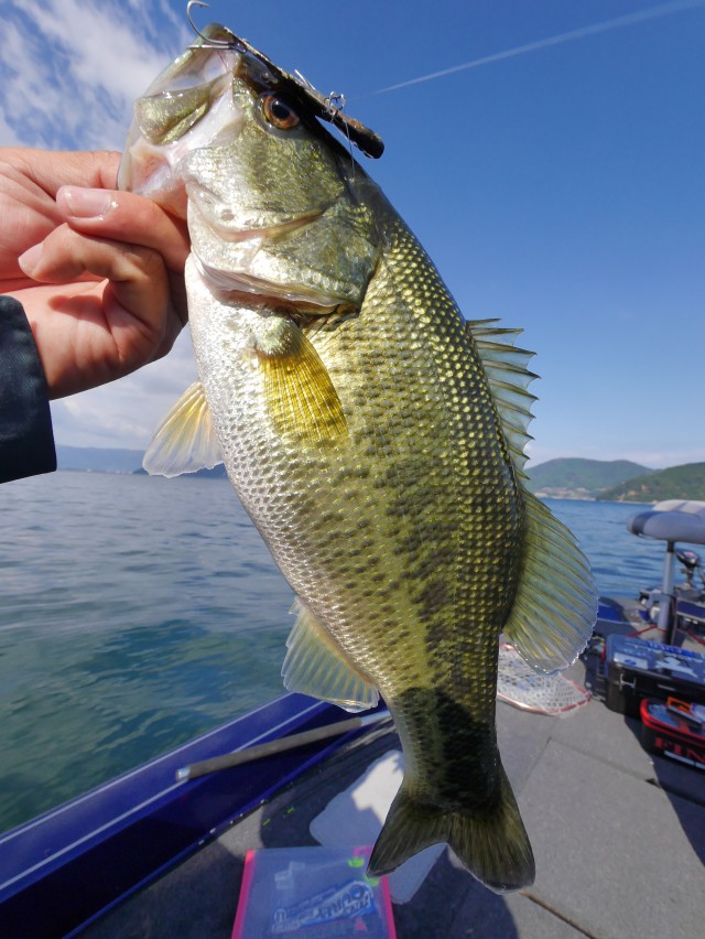 truth hiramura ブログ写真 2016/11/05