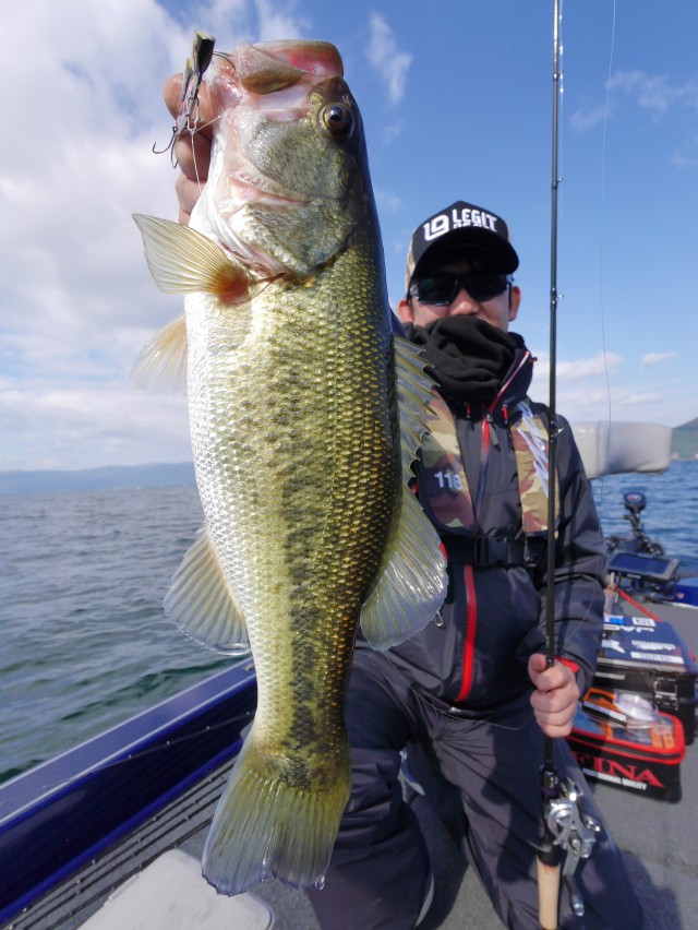 truth hiramura ブログ写真 2016/11/05