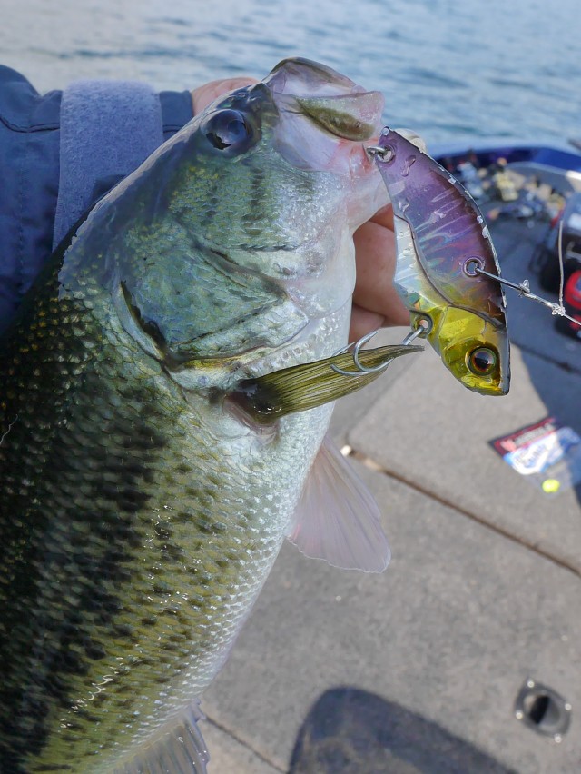 truth hiramura ブログ写真 2016/11/05