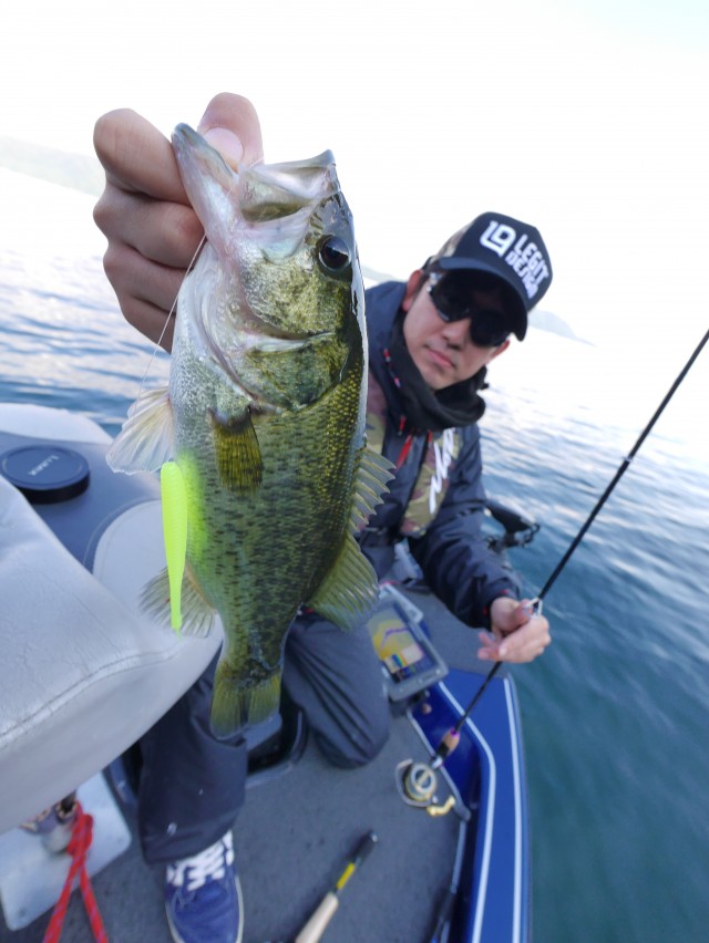 truth hiramura ブログ写真 2016/11/05