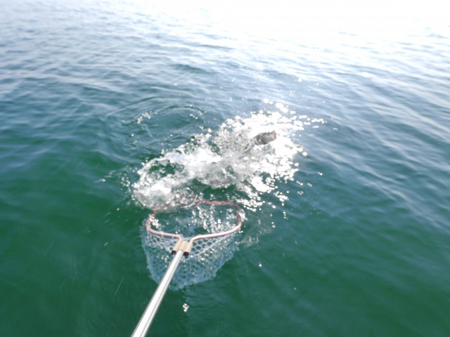 truth hiramura ブログ写真 2016/11/06