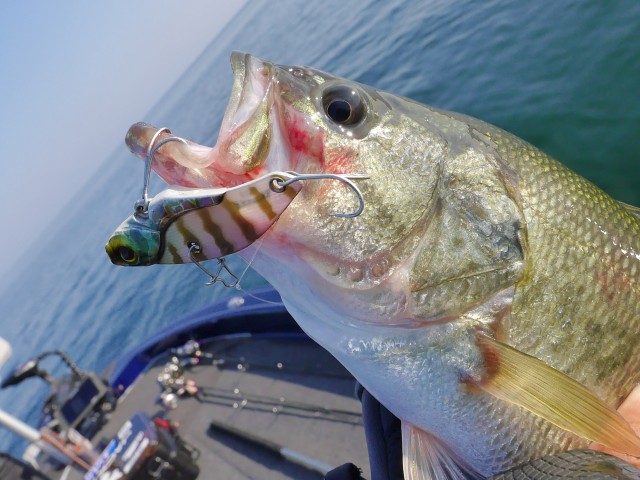 truth hiramura ブログ写真 2016/11/06