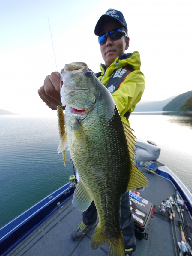 truth hiramura ブログ写真 2016/11/06