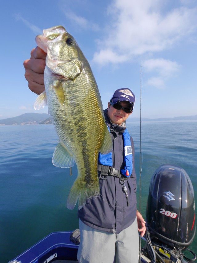 truth hiramura ブログ写真 2016/11/06