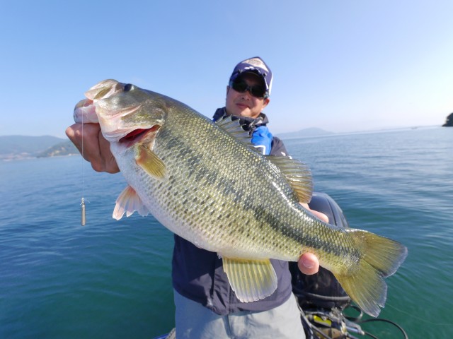 truth hiramura ブログ写真 2016/11/06