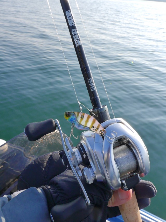 truth hiramura ブログ写真 2016/11/06