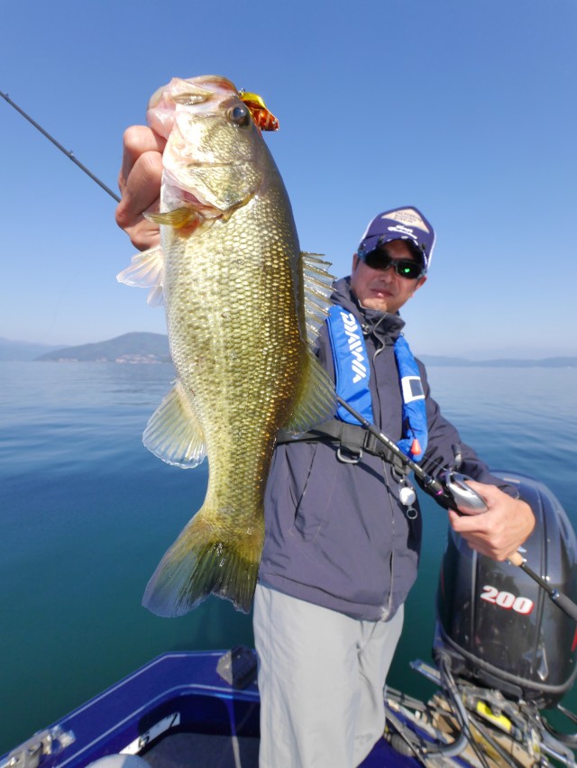 truth hiramura ブログ写真 2016/11/06