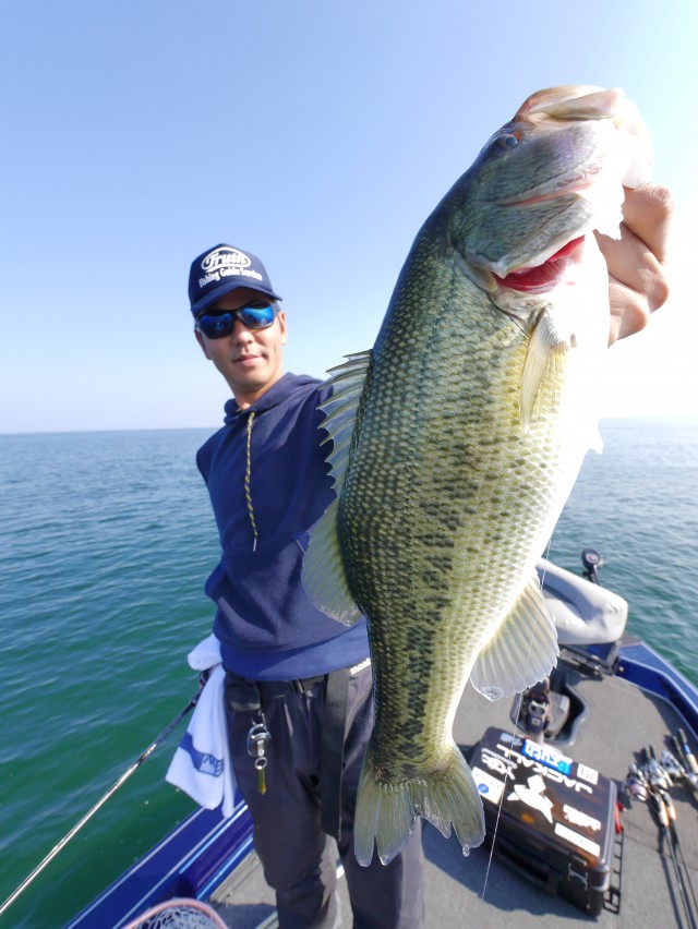 truth hiramura ブログ写真 2016/11/06