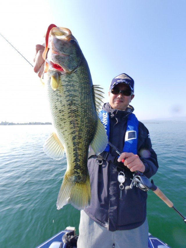 truth hiramura ブログ写真 2016/11/06