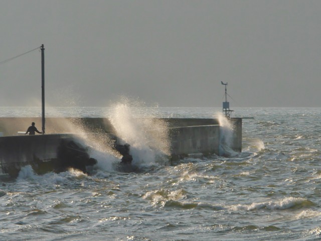 truth hiramura ブログ写真 2016/11/06