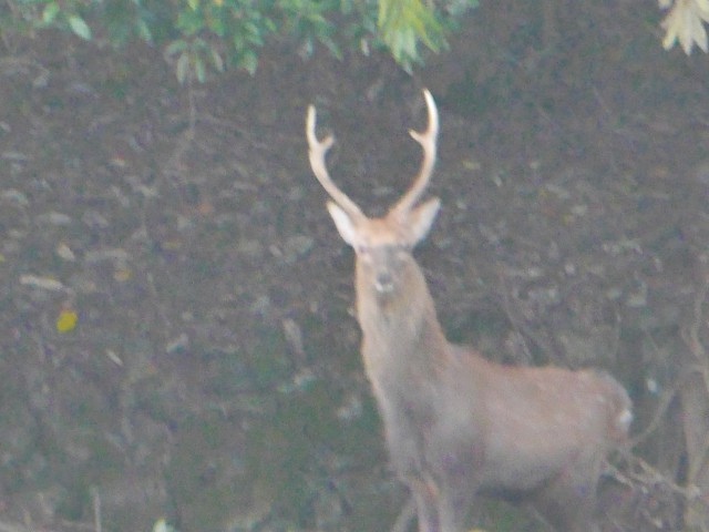 truth hiramura ブログ写真 2016/11/06