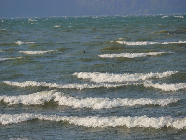 truth hiramura ブログ写真 2016/11/06