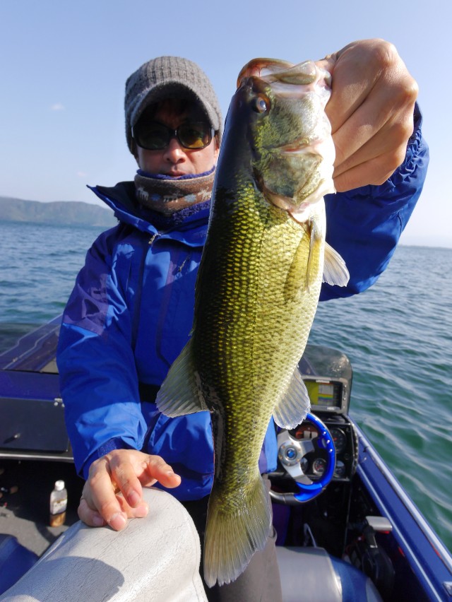 truth hiramura ブログ写真 2016/11/06