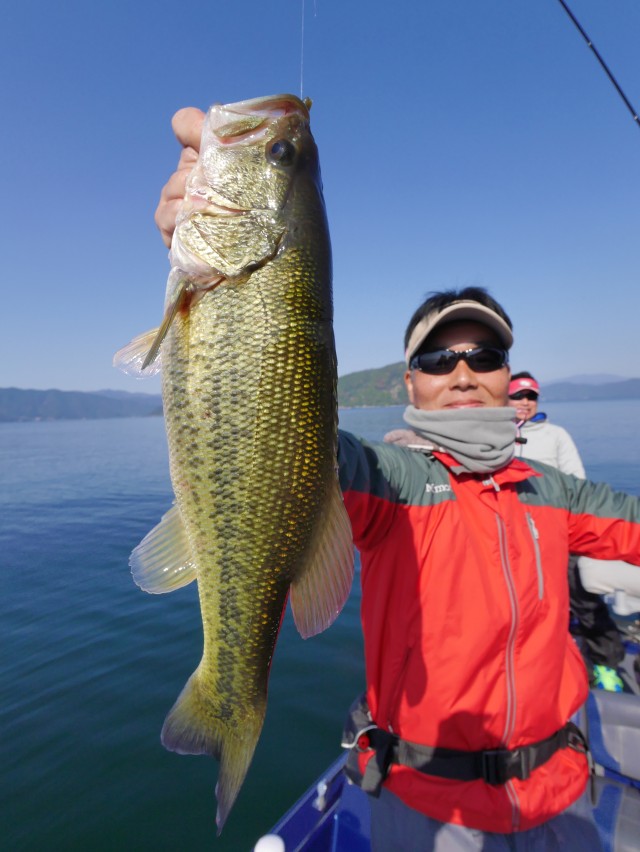 truth hiramura ブログ写真 2016/11/08