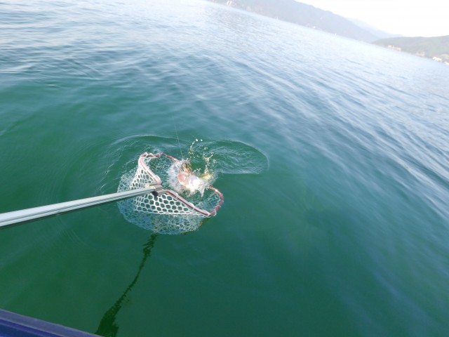 truth hiramura ブログ写真 2016/11/08